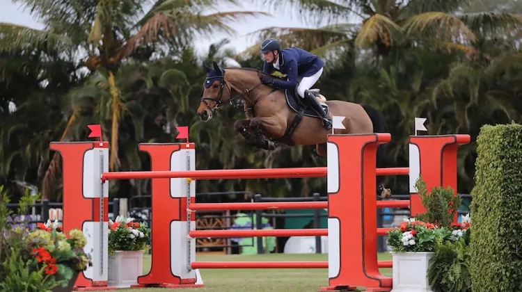 Daniel Deusser et Killer Queen VDM, en grande forme à Wellington !