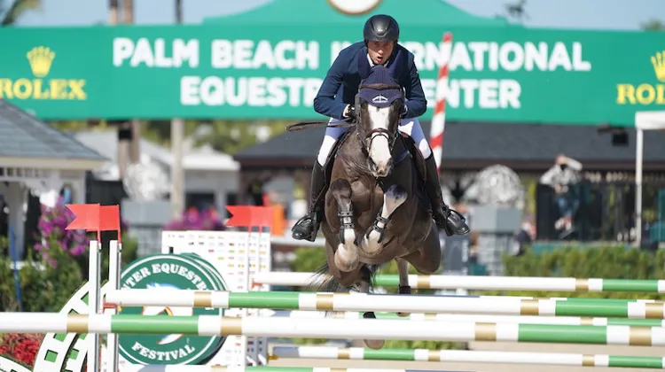 Malgré la pandémie de Covid-19, nombre de cavaliers européens sont partis concourir outre-Atlantique pour le Winter Equestrian Festival, à l'image du numéro deux mondial au classement Longines des cavaliers Martin Fuchs.