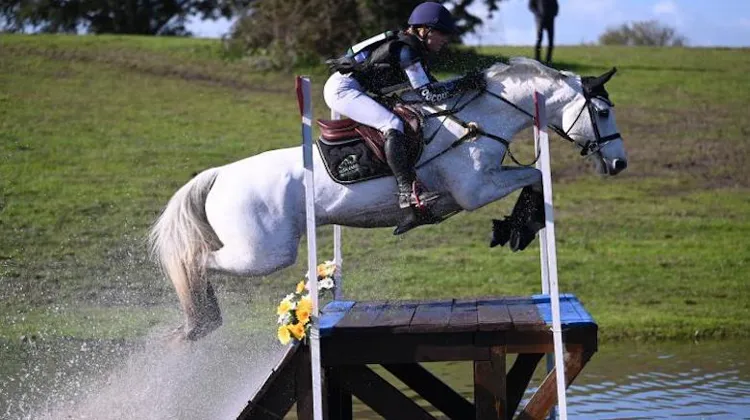 Canakine du Sudre Z/Diogo Grave