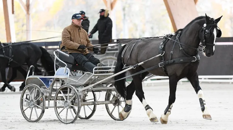 Anthony Hordé et les meneurs de l'équipe de France ont profité du grand manège durant leur premier stage de l'hiver.
