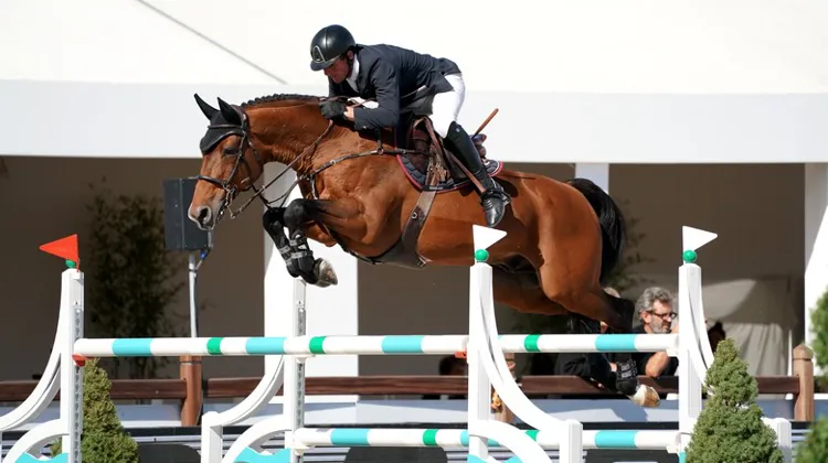 Rouge de Ravel et Guy Williams forment un redoutable duo. 