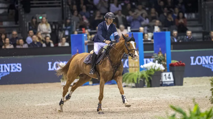 Ici au championnat des sept ans au Grand Parquet de Fontainebleau, Victorio des Frotards a été amené à haut niveau par Raphaël Goehrs.