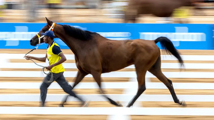 Image d'illustration. 