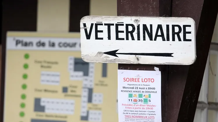 Le confinement aura permis à certains sujets de de soigner quelques douleurs chroniques