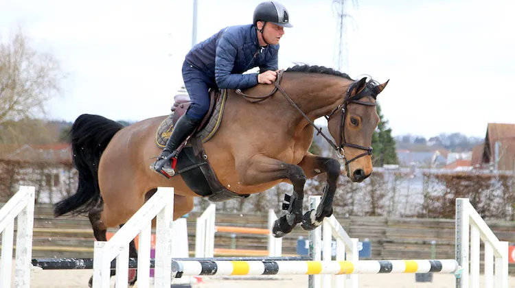 Tony est ici à l'entraînement au PIC avec Caligano Jorthonne, vice-champion de France des chevaux de sept ans.