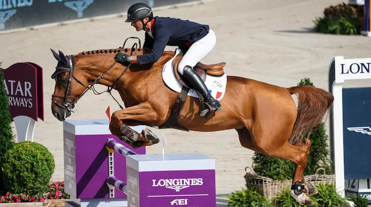 Si les Jeux olympiques de Tokyo avaient été maintenus en 2020, Urvoso du Roch aurait de toute évidence eu une chance d'être sélectionné pour représenter la France. 