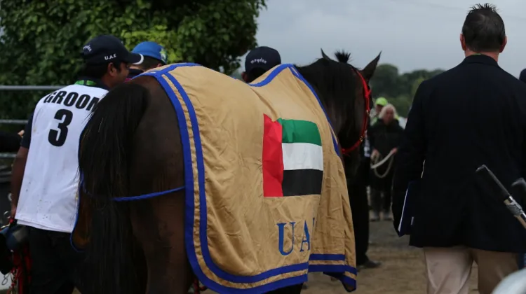 Pendant la suspension des Émirats arabes unis, aucun drapeau du pays ne pouvait apparaître sur les compétitions internationales.