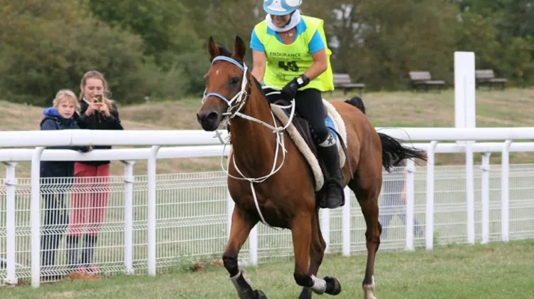 Belle victoire pour Henriette d'Ursel et Wloszka Fontanel, sacrées championnes de France des As.