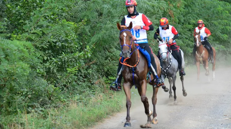 Jaume Punti a été intouchable à Samorin.