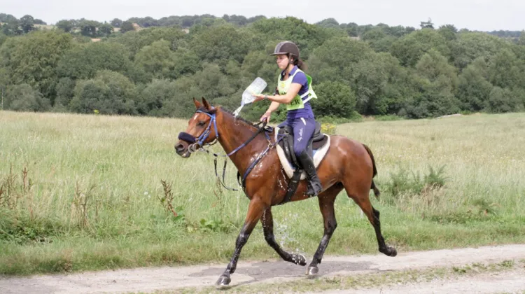Camille Marc et Poly de Coat Frity, une grande complicité entre la jeune cavalière bretonne et le hongre anglo-arabe aujourd’hui champion du monde
