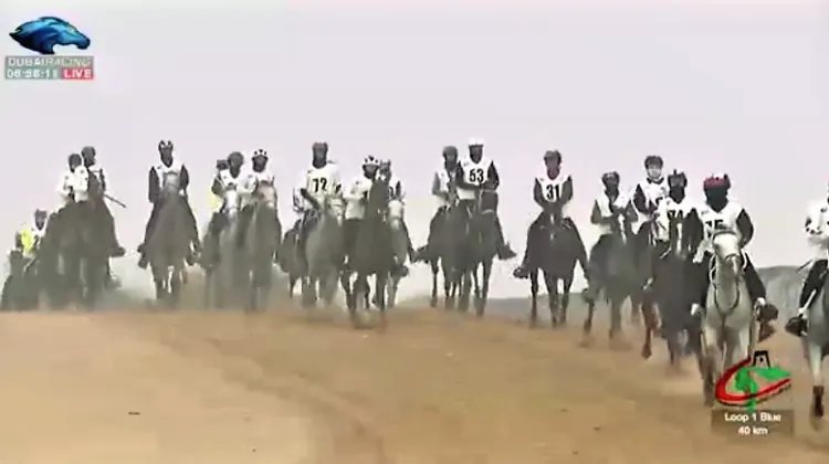 Dossard 53, Limon PP s'est éteint lors de la course d’Al Wathba.