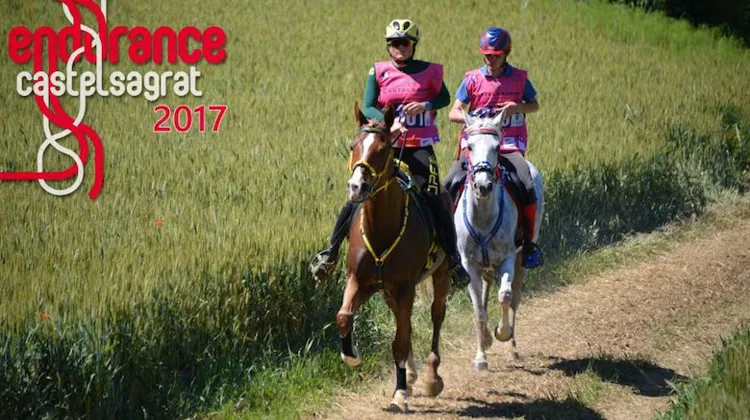 Vainqueur l'an passé avec l'Allemande Sabrina Arnold, le crack Tarzibus sera à nouveau présent cette année, mais avec le Français Jean-Philippe Frances.