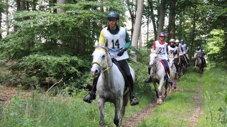 Jean-Philippe Francès et Bolt de Venelles à Compiègne.
