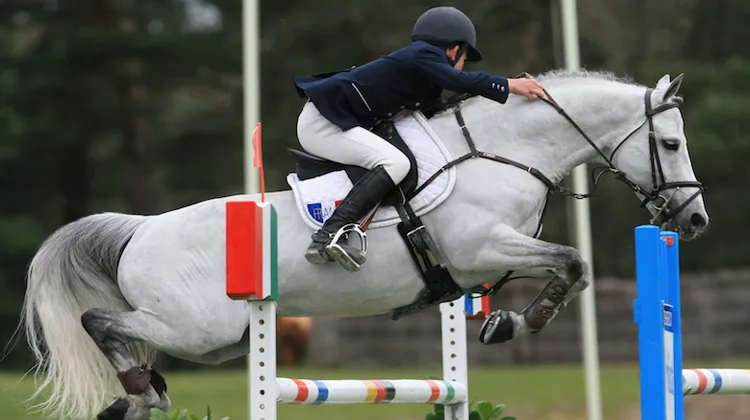 Ici sous la selle de Baptiste Lecomte, Jimmerdor a fait rayonner la France des Poneys pendant plusieurs années.