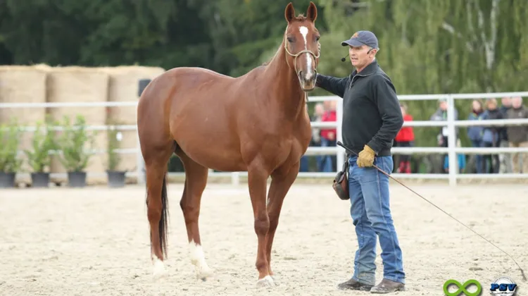Amoureux de chevaux, le comédien Thierry Lhermitte a pris part aux rencontres de la Cense.