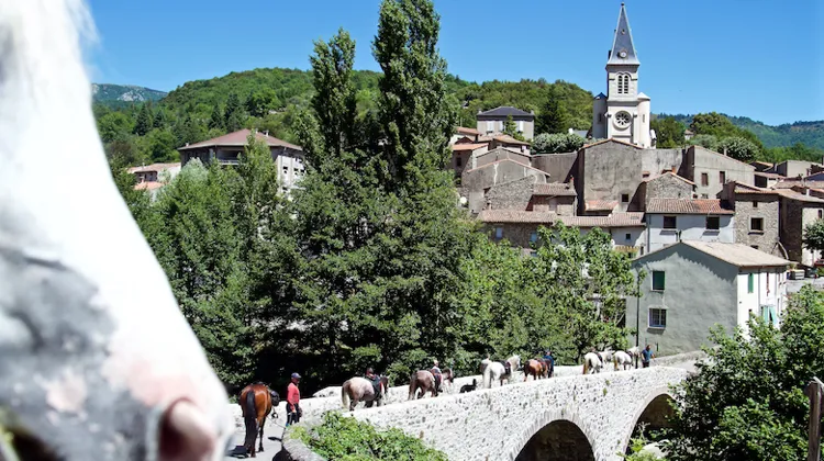 Qui n’a jamais rêvé de découvrir à cheval la magnifique région des Causses?