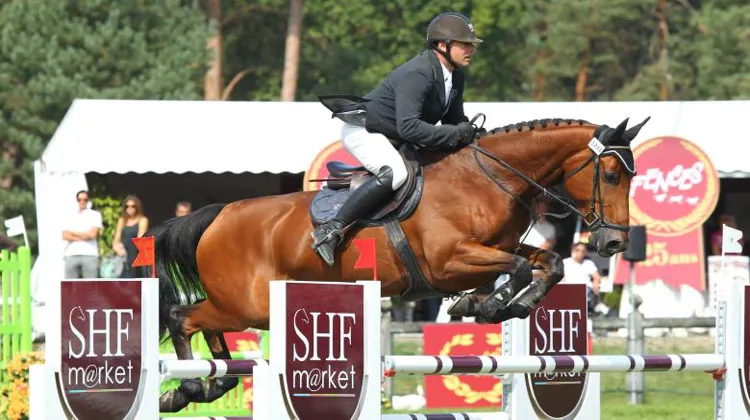 Qui succédera à Ululu, championne de France des six ans sous la selle de Franck Vancrayelynghe ?