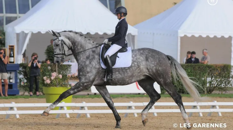 Flair Royal (Fairbanks x Royal Diamond), champion de France des six ans