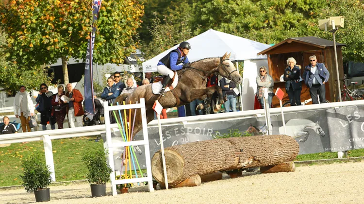 Epsilon des Aubiers Champion 2017 3 ans CCE