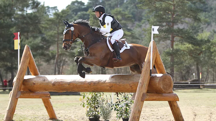 Michael Jung domine une fois de plus