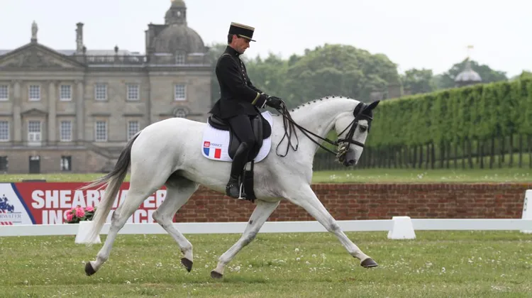 La France, notamment représentée par Matthieu van Landeghem, marque des points.