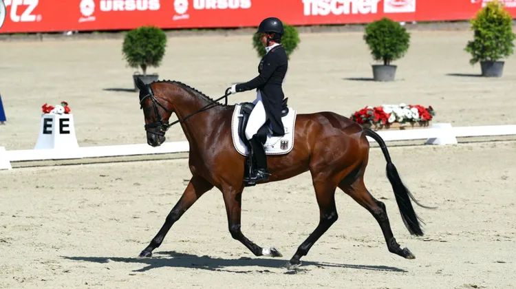 À Strzegom, Bettina Hoy et Seigneur Medicott avaient ébloui les juges.