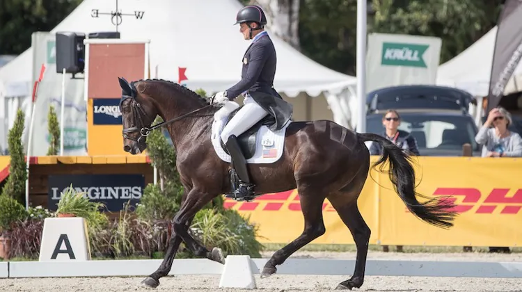 Boyd Martin et Shamwari 4 sont pour le moment idéalement placés dans la course du CCI 4* de Luhmülhen.