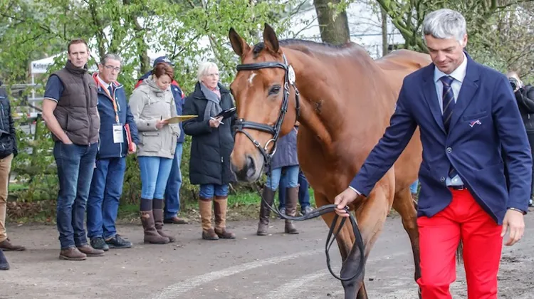 Karim Laghouag et Triton Fontaine lors de la visite vétérinaire.
