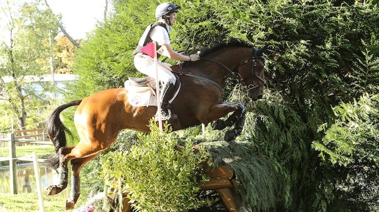 Un excellent cross pour le britannique Tom McEwen et le Selle Français Toledo de Kerser.