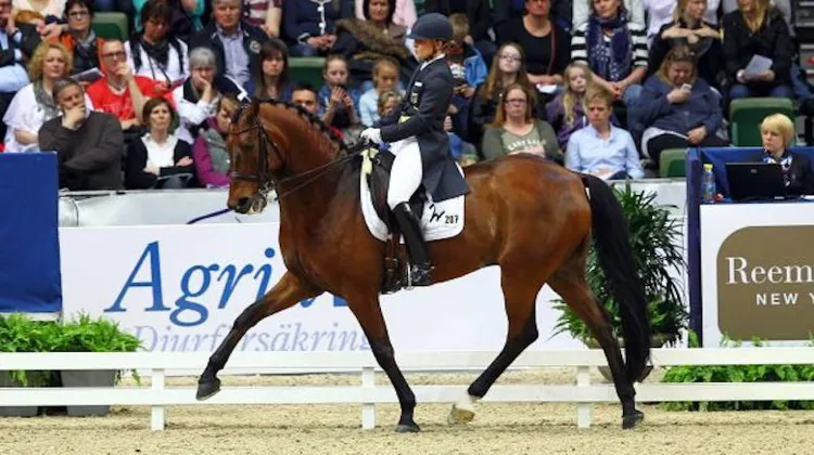 Isabell Werth et son magnifique Don Johnson (ici à Göteborg, en 2013) ont remporté le CDI 5* de Stockholm.