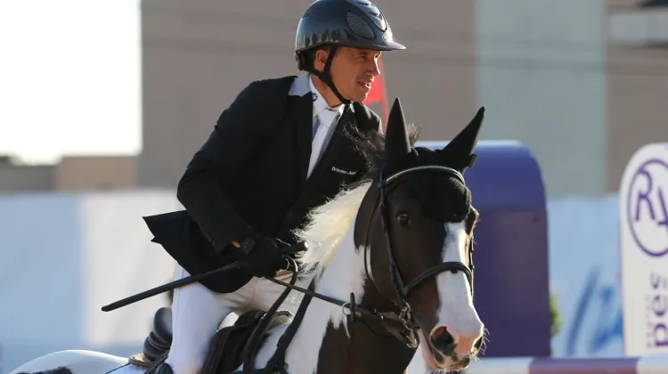 Après quatre mois d'arrêt, Catapulte redémarre la compétition ce week-end, sous la selle d'Olivier Robert.