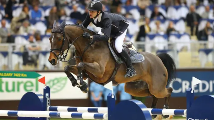 Steve Guerdat, vainqueur de l'édition 2014 aux rênes de son fabuleux Nino des Buissonnets