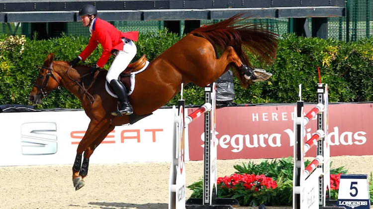 Mclain Ward et Rothchild se sont imposés en leur jardin dans le Grand Prix du CSI 5* de Wellington.
