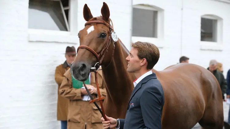 Hermès Ryan des Hayettes a offert de nombreux succès au  Lorrain cette année, dont une médaille de bronze individuelle aux derniers championnats d'Europe.