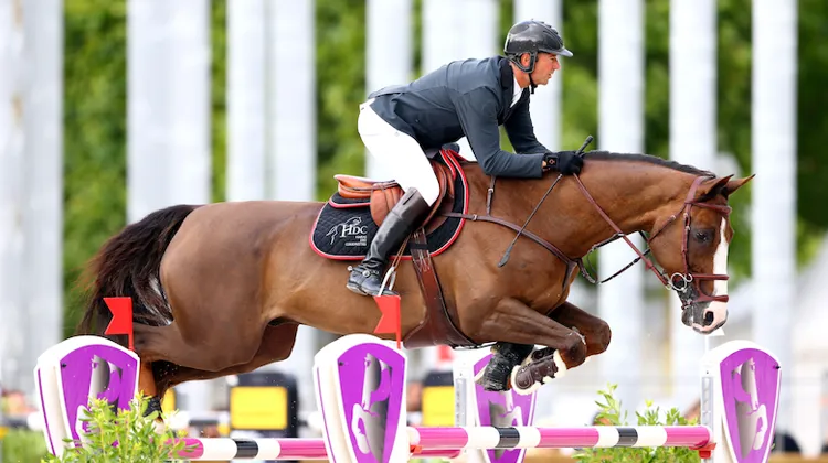 Bien remis de sa blessure, Aquila*HDC sera la cartouche du Normand en vue d'une sélection pour les Jeux équestres mondiaux.