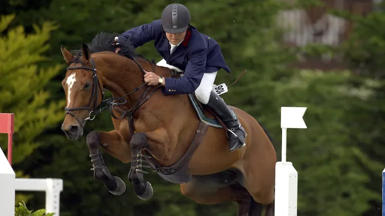 Dilème de Cèphe et Bruno Broucqsault