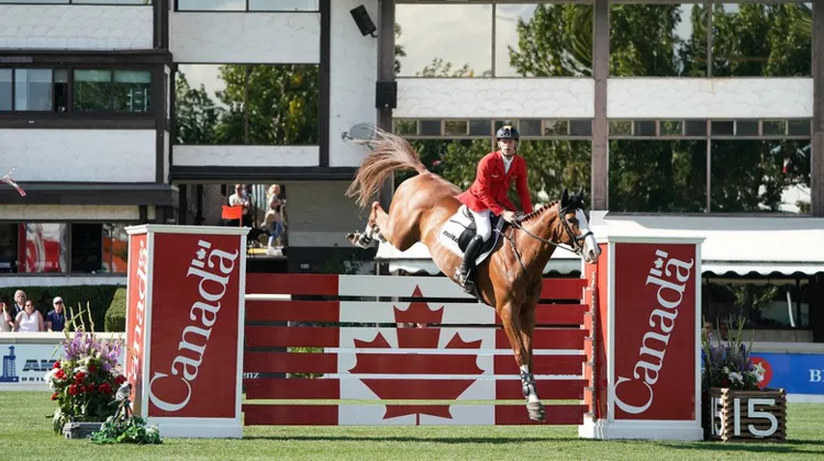 Pilier d'équipe, Marcus Ehning n'a même pas eu besoin de repartir en seconde manche pour la victoire!
