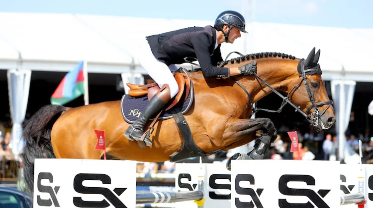 Comme Vagabond de la Pomme et Ilena de Mariposa, Urano de Cartigny ici à Bruxelles a rejoint Clarbec.