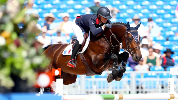 Bien remis de Tryon, Volnay du Boisdeville reprendra du service la semaine prochaine lors du Grand Indoor de Mâcon.
