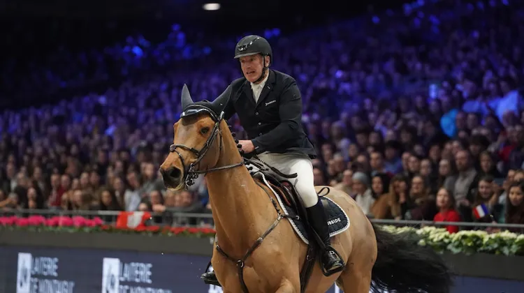 En pleine phase de transition, Roger-Yves Bost n'a cessé de descendre au classement mondial cette année.