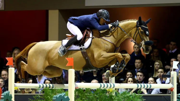 Début février, Quenelle du Py foulera la piste de Bordeaux une sixième et dernière fois.