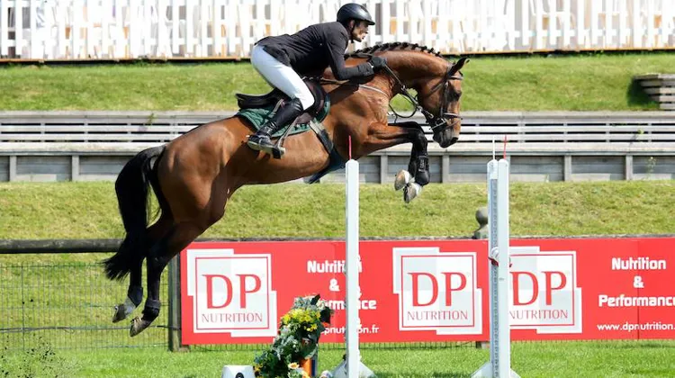 Ici à quatre ans, année de son sacre sur la pelouse du Grand Parquet, Andiamo Semilly est sous la selle d'Olivier Martin.