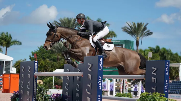 Quality FZ est ici sous la selle de Spencer Smith, qui collabore avec Éric Lamaze.