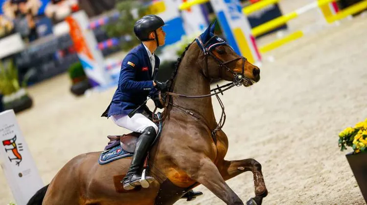 PSG Future, ici avec son ancien cavalier Max Kühner, rejoint les écuries du Saoudien.