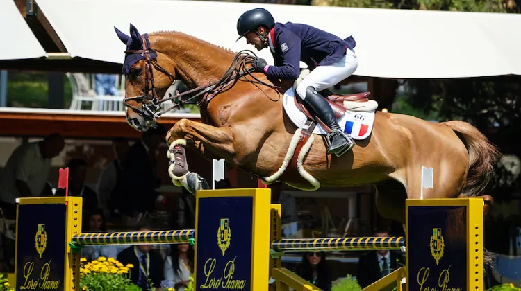 Simon Delestre et Uccello de Will n'iront pas à Rotterdam.