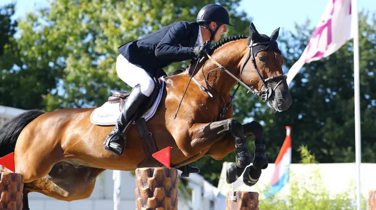 Le Belge Jos Verlooy aux rênes du compétitif fils de Verdi TN.