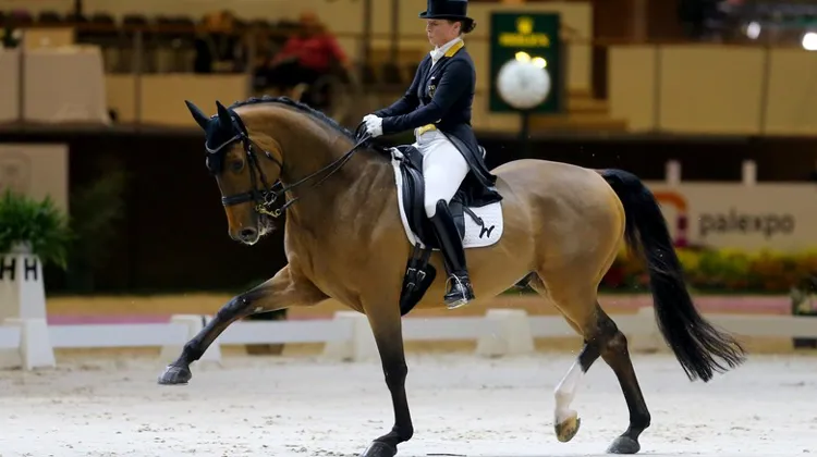 Sans aucune surprise, c'est Isabell Werth qui a remporté le trophée de ce Grand Prix.