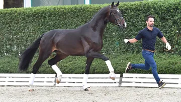 Franklin's Donnerhall