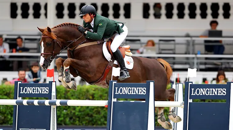Quabri de l’Isle, un fils de Kannan évolue sous la selle de Pedro Veniss, avec qui il a inscrit son nom au palmarès du Grand Prix d’Aix-la-Chapelle en 2016.