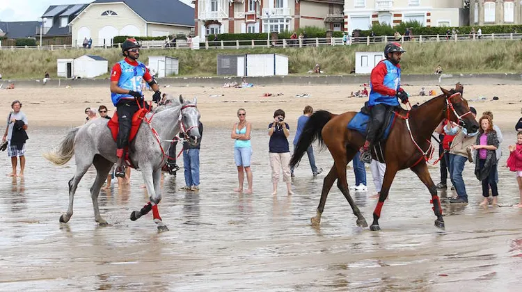 La FEI et la fédération émiratie ont mis en place douze mesures pour les événements à venir.